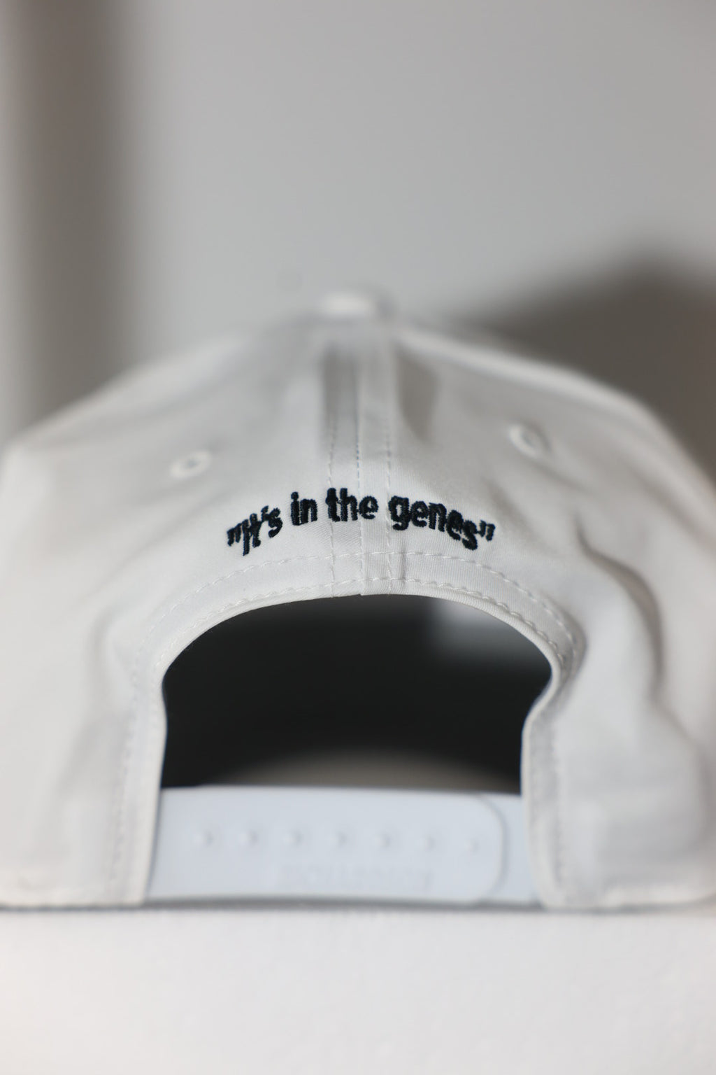 Steinmetz Signature Logo E Hat