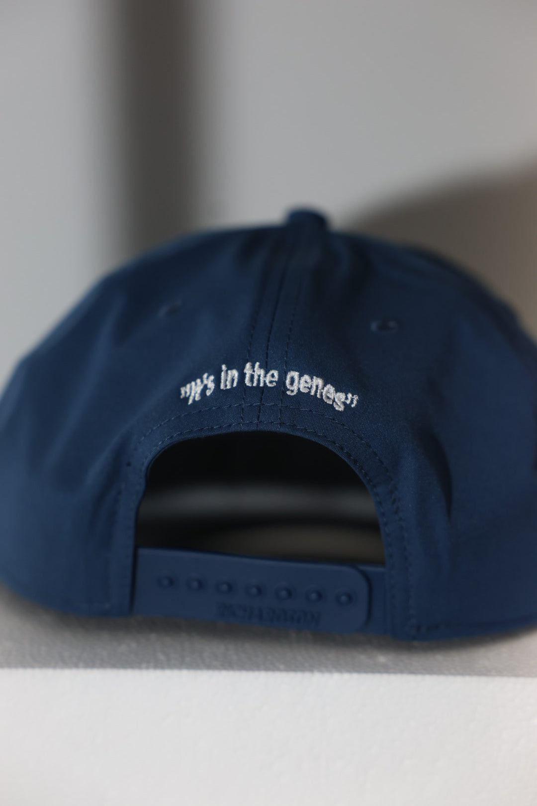 Steinmetz Signature Logo E Hat