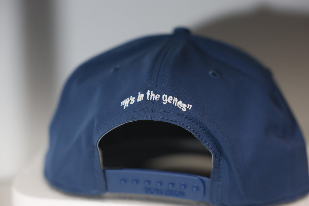 The Steinmetz Signature Hat